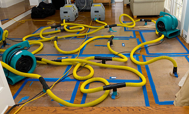 Professional Storm Water Damage Restoration technician working in Huntington, IN